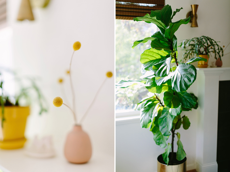 floral-and green-leafy-plant-details-inside-home